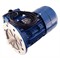 Click to select this image