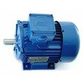 Photo of and link to Marelli - 2.2kW (3HP) 230V/400V 3ph 4 Pole AC Motor for Speed Control - B3 Foot Mounting