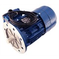 Photo of and link to Marelli - 0.37kW (0.5HP) 230V/400V 3ph 4 Pole AC Motor for Speed Control, B5 Flange mount with 2048ppr Encoder