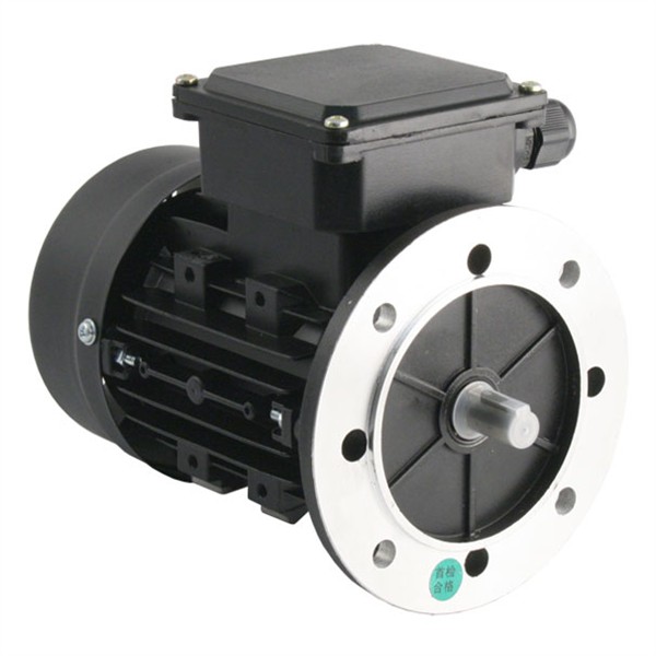 Photo of TEC - 230V Single Phase Motor 0.25kW (0.33HP) Cap Run 2P 63F Flange