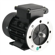 Photo of TEC - 230V Single Phase Motor 2.2kW (3HP) Cap Start 2P 90L B35 Foot/Flange
