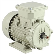 Photo of Teco - IE2 0.18kW (0.25HP) 2 Pole AC Induction Motor 230V or 400V B3 Foot Mount - 63 Frame