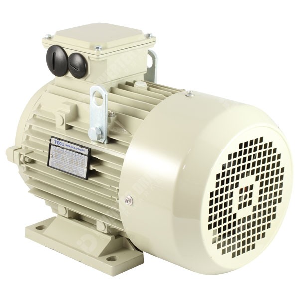 Photo of Teco - IE2 4kW (5.5HP) 2 Pole AC Induction Motor 400V B3 Foot Mount - 112 Frame
